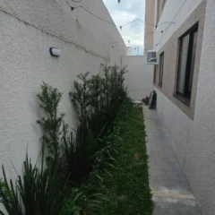 Imagem 8